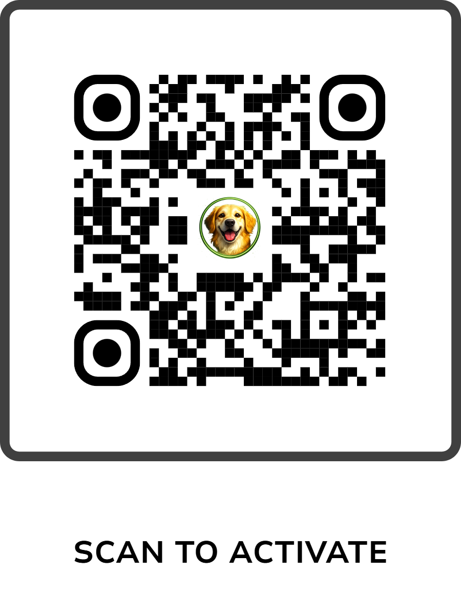Demo QR Code